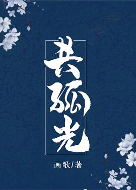 共孤光