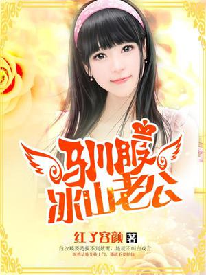 驯服冰山老公