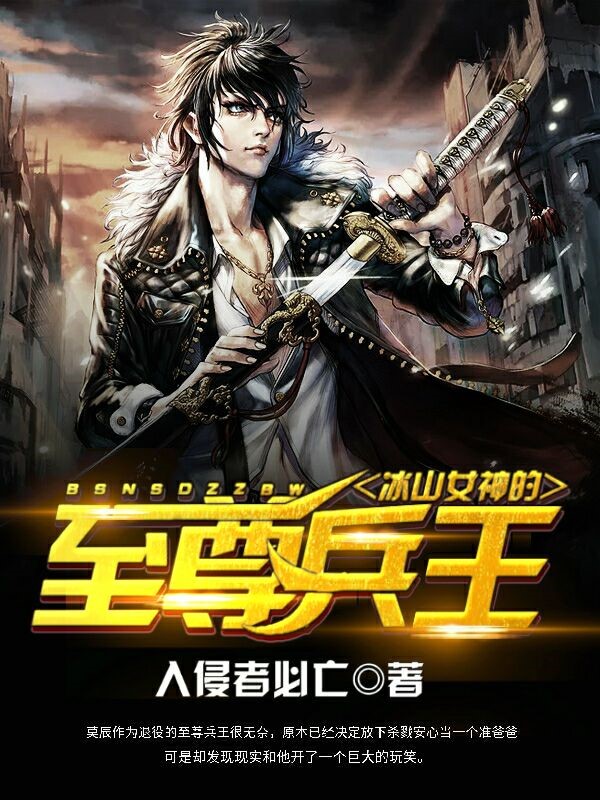 冰山女神的至尊高手