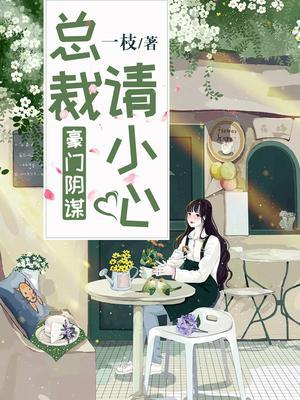 豪门阴谋：总裁，请小心
