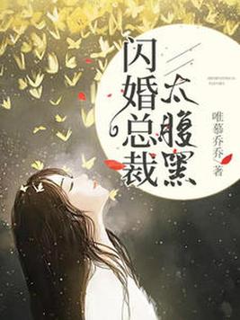《闪婚总裁太腹黑》
