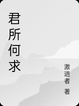 君所何求