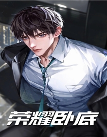 主角叫苏锋的卧底小说