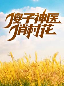 傻子神医俏村花
