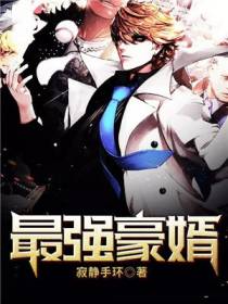 最强豪婿