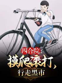 四合院：摸爬滚打,行走黑市