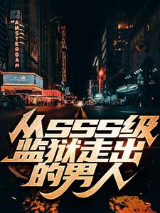 盖世龙婿苏南天许如烟