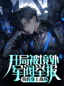 雇佣兵:开局军阀报警说我诈骗