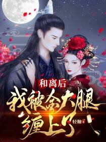 和离后,我被金大腿缠上了！