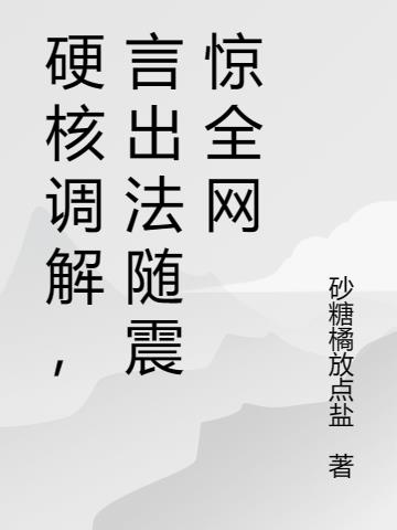 硬核调解,言出法随震惊全网
