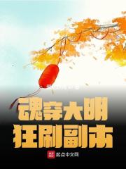 魂穿大明狂刷副本