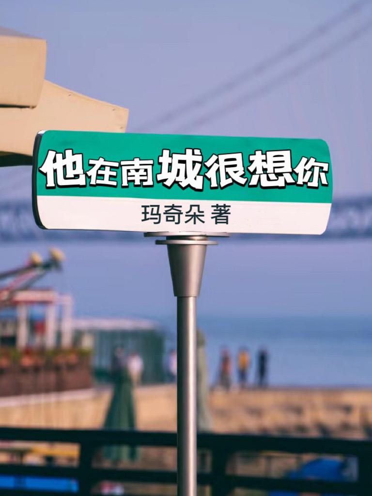 他在南城很想你