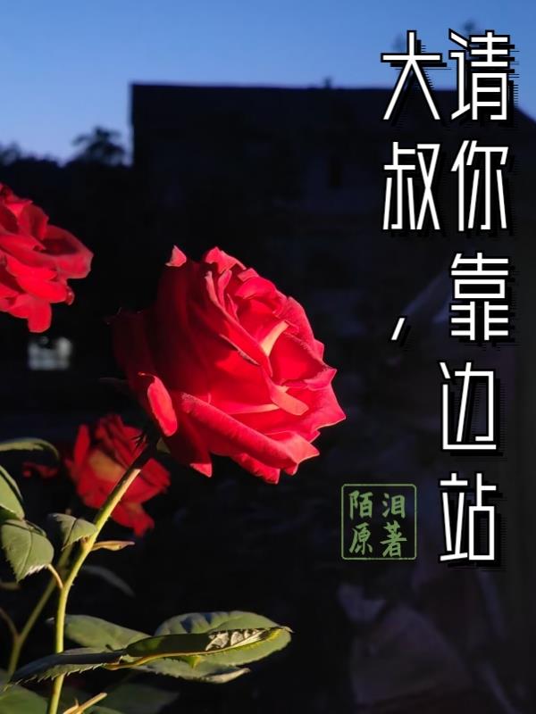 大叔,请你靠边站