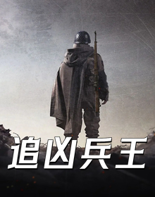 追凶兵王