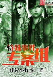 特殊事件专案组