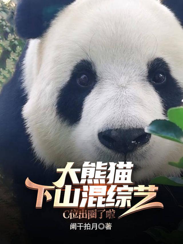 大熊猫下山混综艺,C位出圈啦！