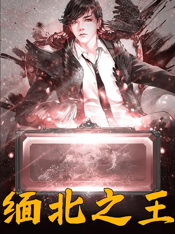 缅北之王