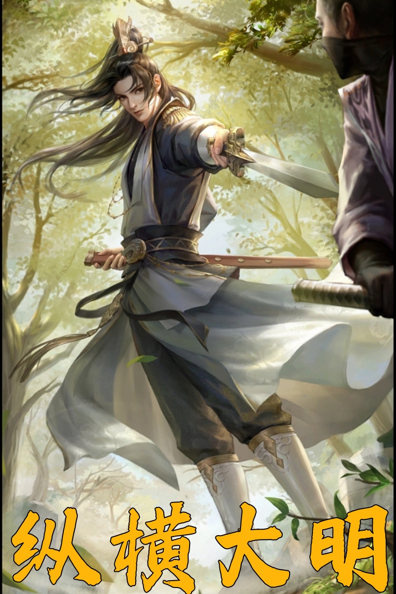纵横大明