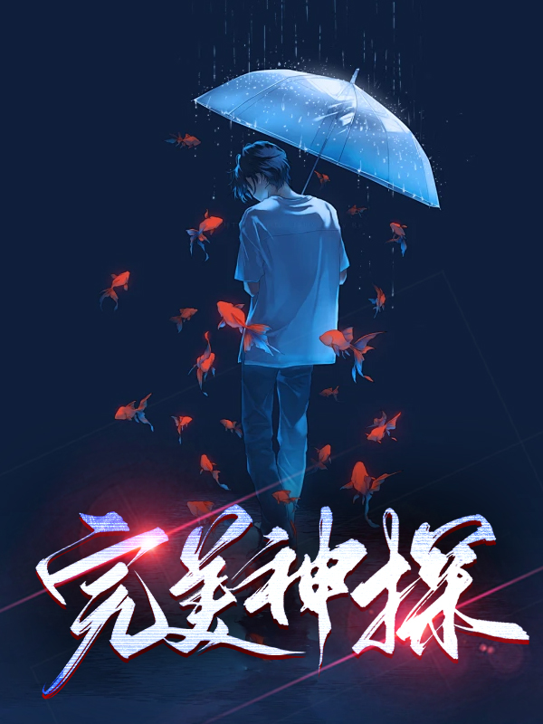 完美神探