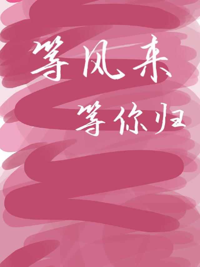 等风来等你归