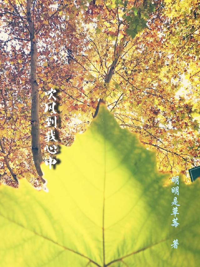 吹风到我心中
