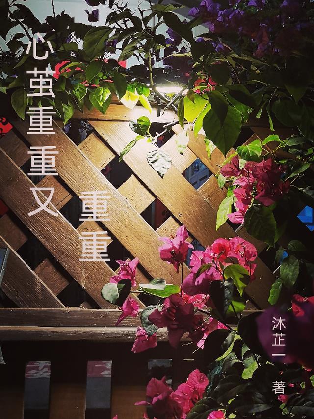 心茧重重又重重