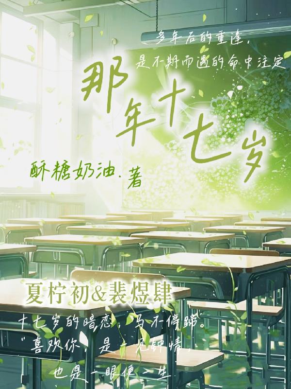 那年，十七岁