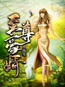 至尊豪婿