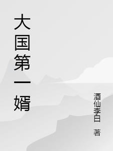 大国第一婿