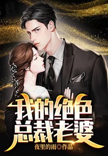 我的绝色总裁老婆