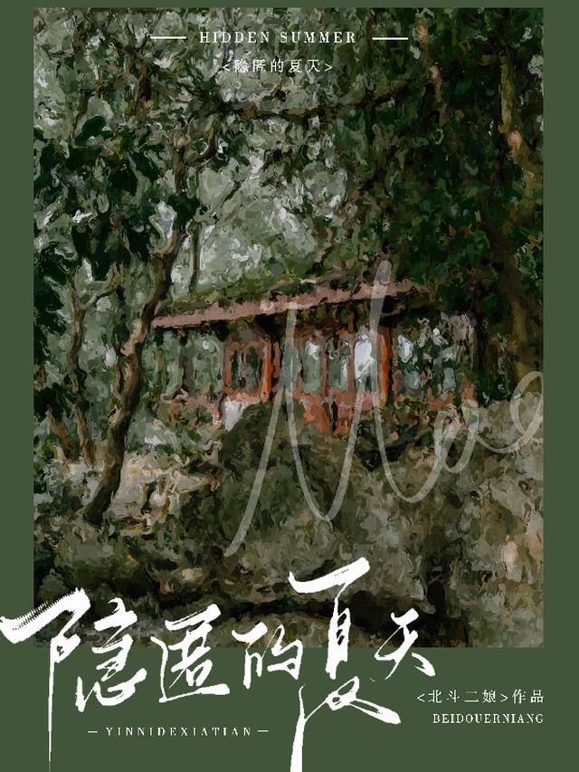 隐匿的夏天