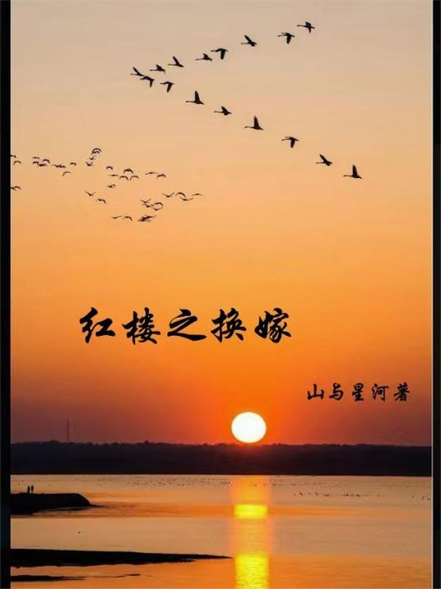 红楼之换嫁