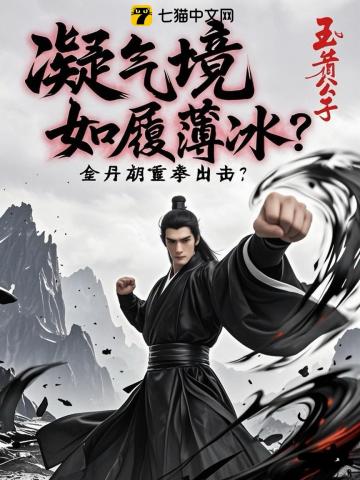 凝气境如履薄冰，金丹期重拳出击