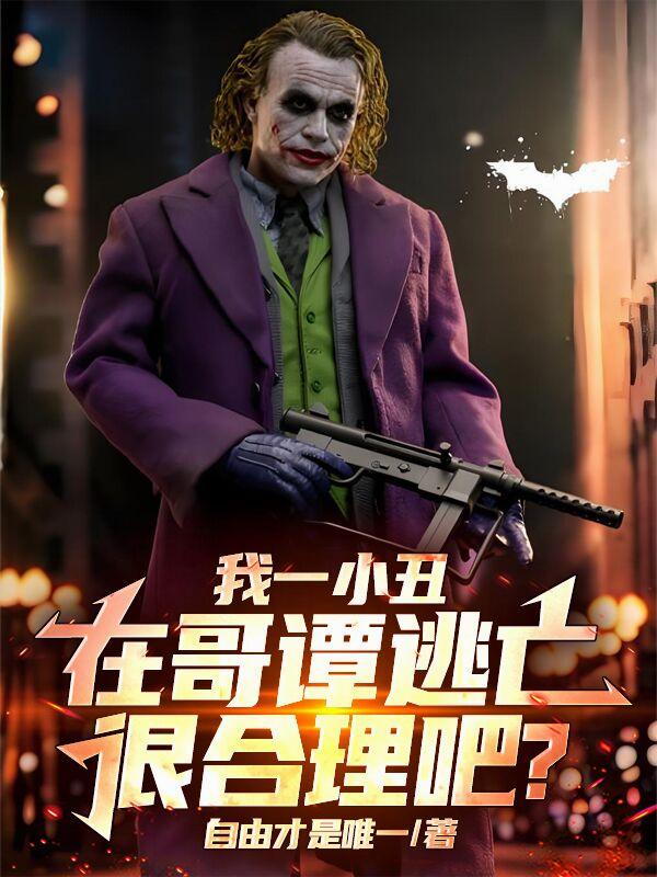 我一小丑，在哥谭逃亡很合理吧？
