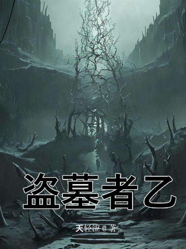 盗墓者乙